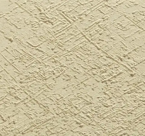 Birla White Texture Wall Paint at best price in Jamnagar by